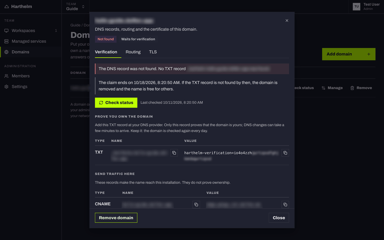 The Verification tab: the TXT record that proves ownership and the CNAME that sends traffic