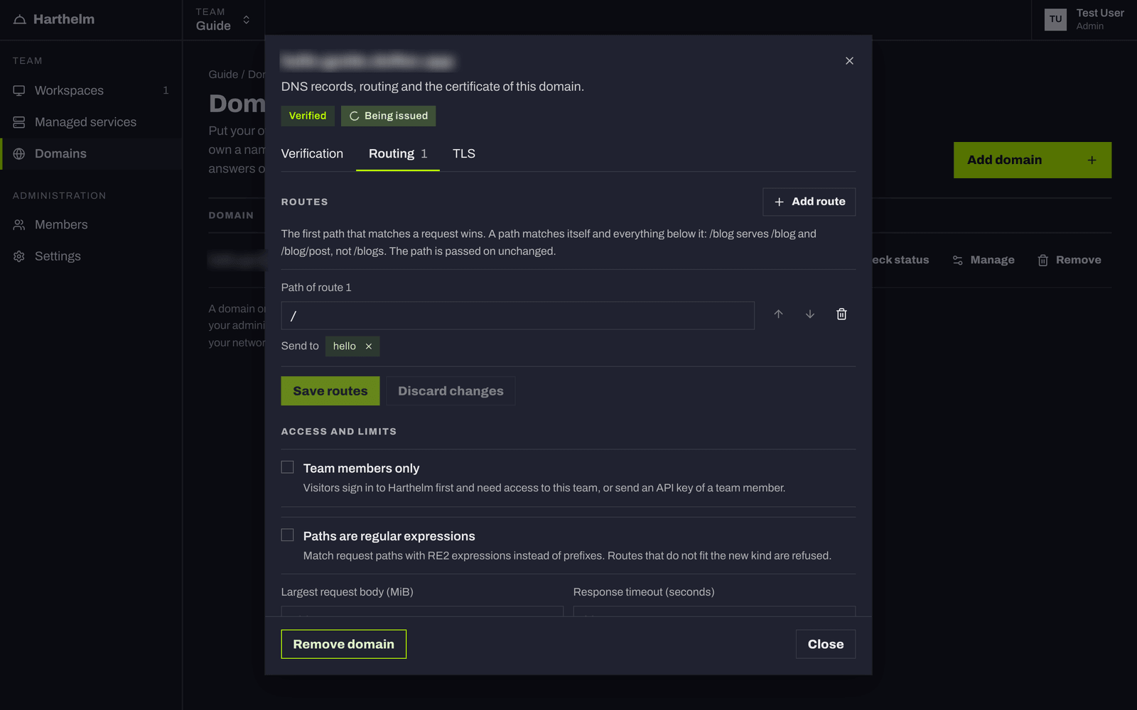 The Routing tab: the path / sent to the workspace hello